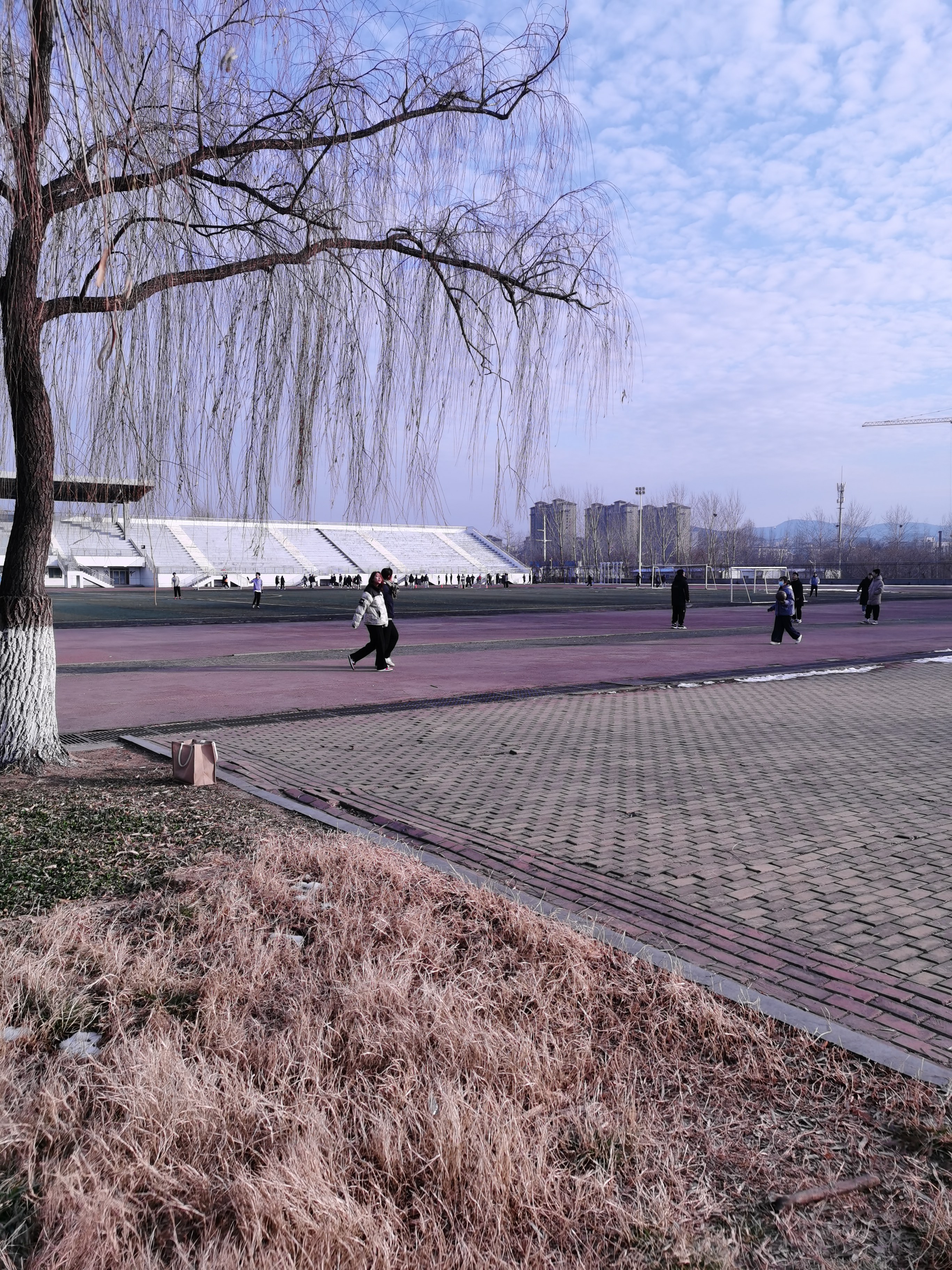 山东青年政治学院-操场