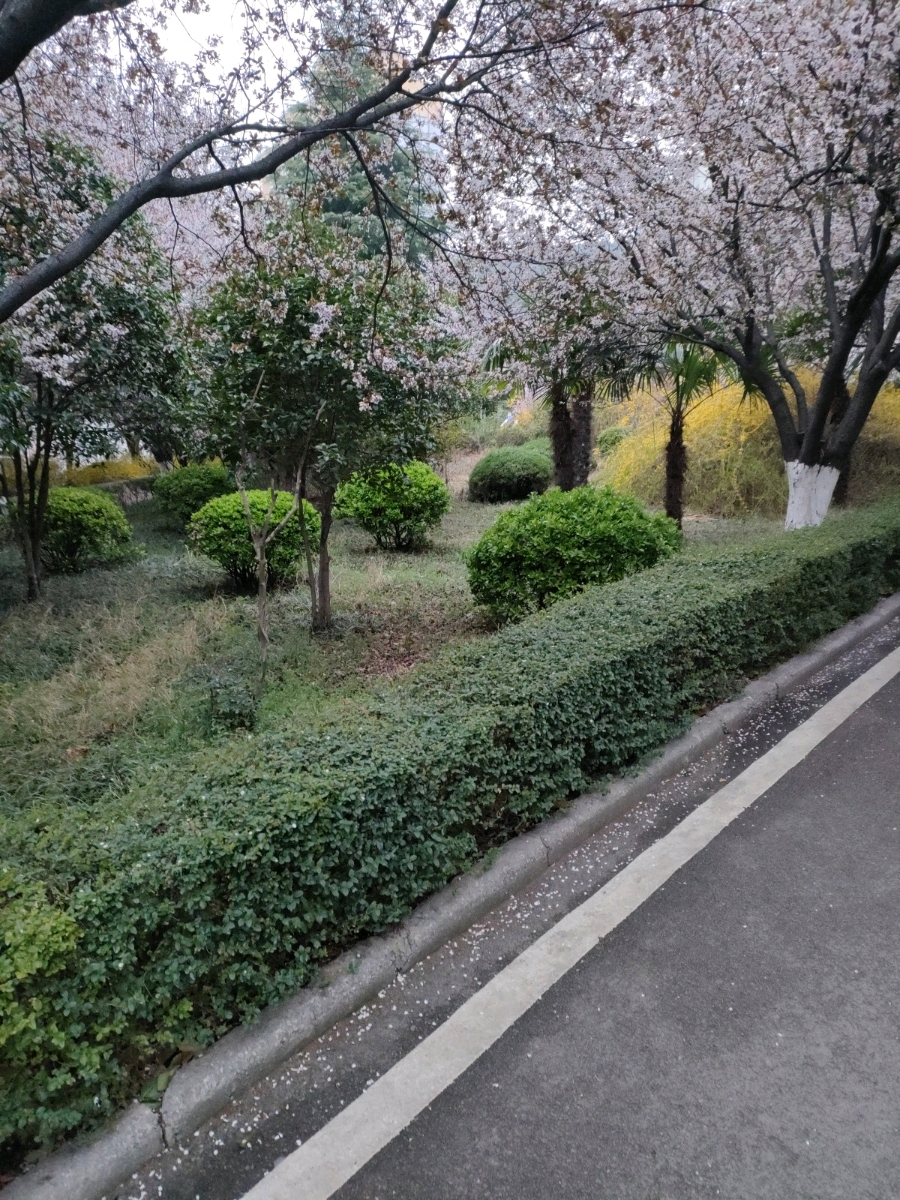 淮北师范大学-小公园