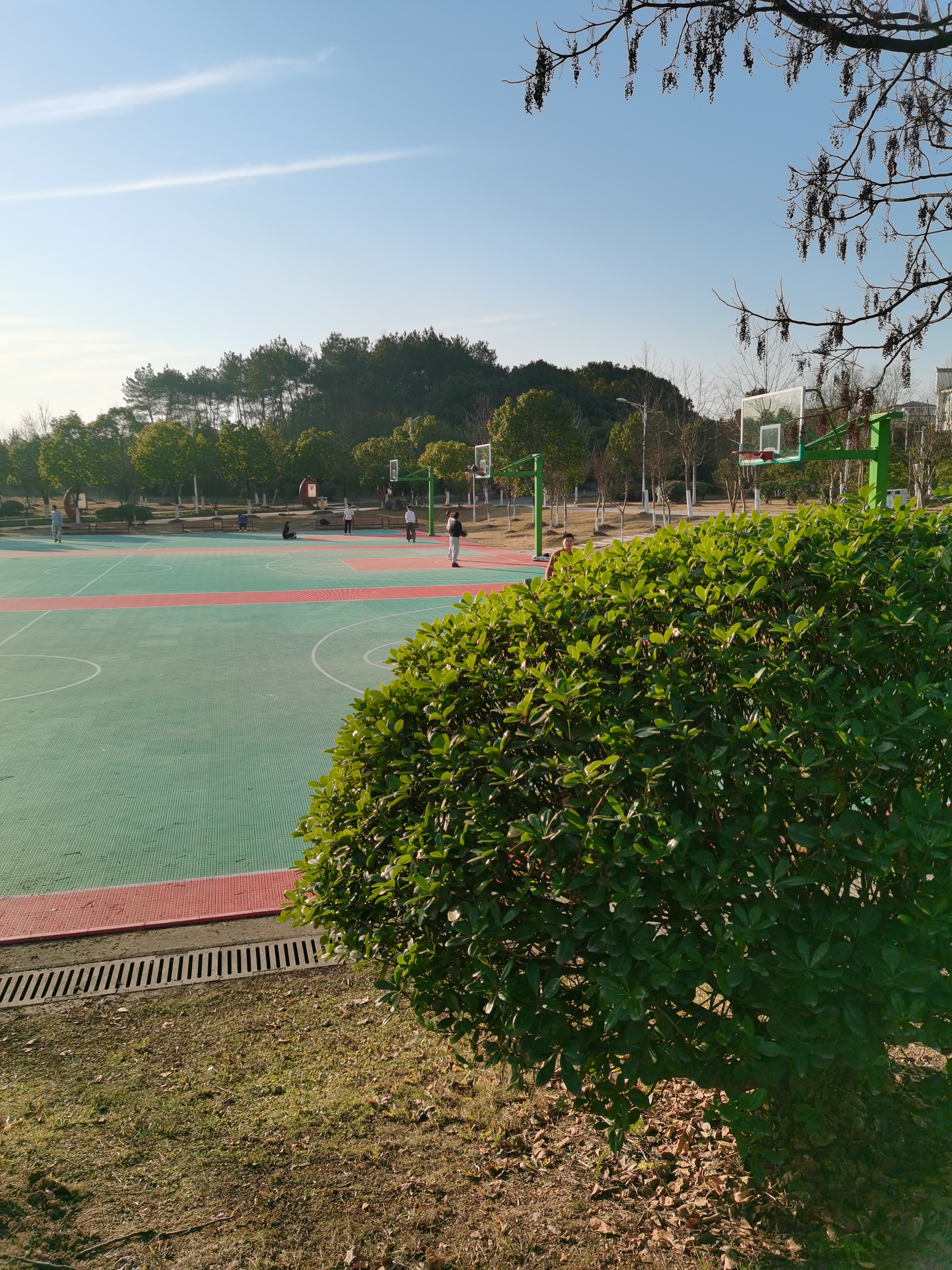 池州学院-篮球场