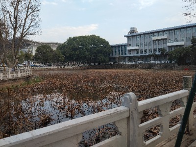 中南民族大学-藕香池