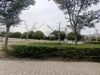 阜阳师范大学城(西湖校区)-游园