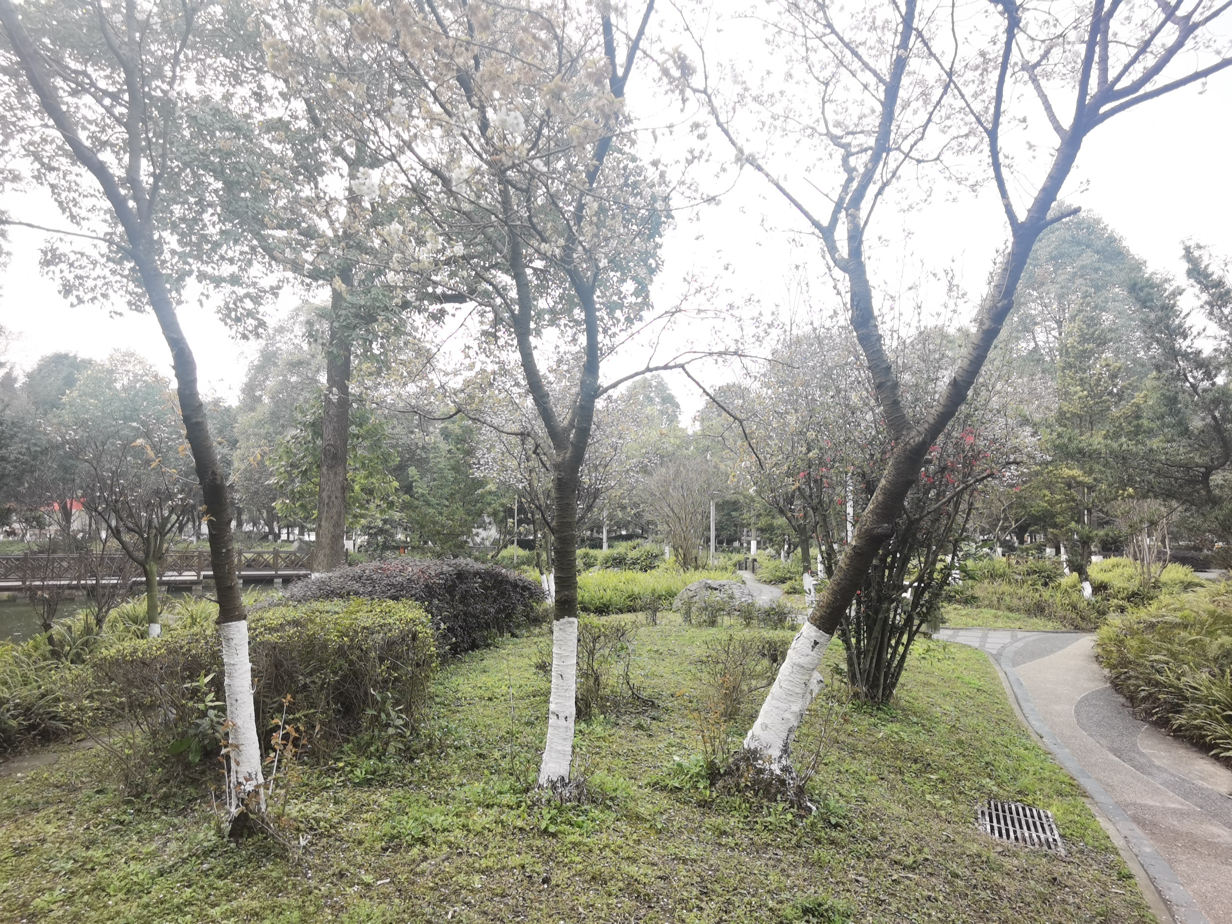 中国民用航空飞邢学院-静思园