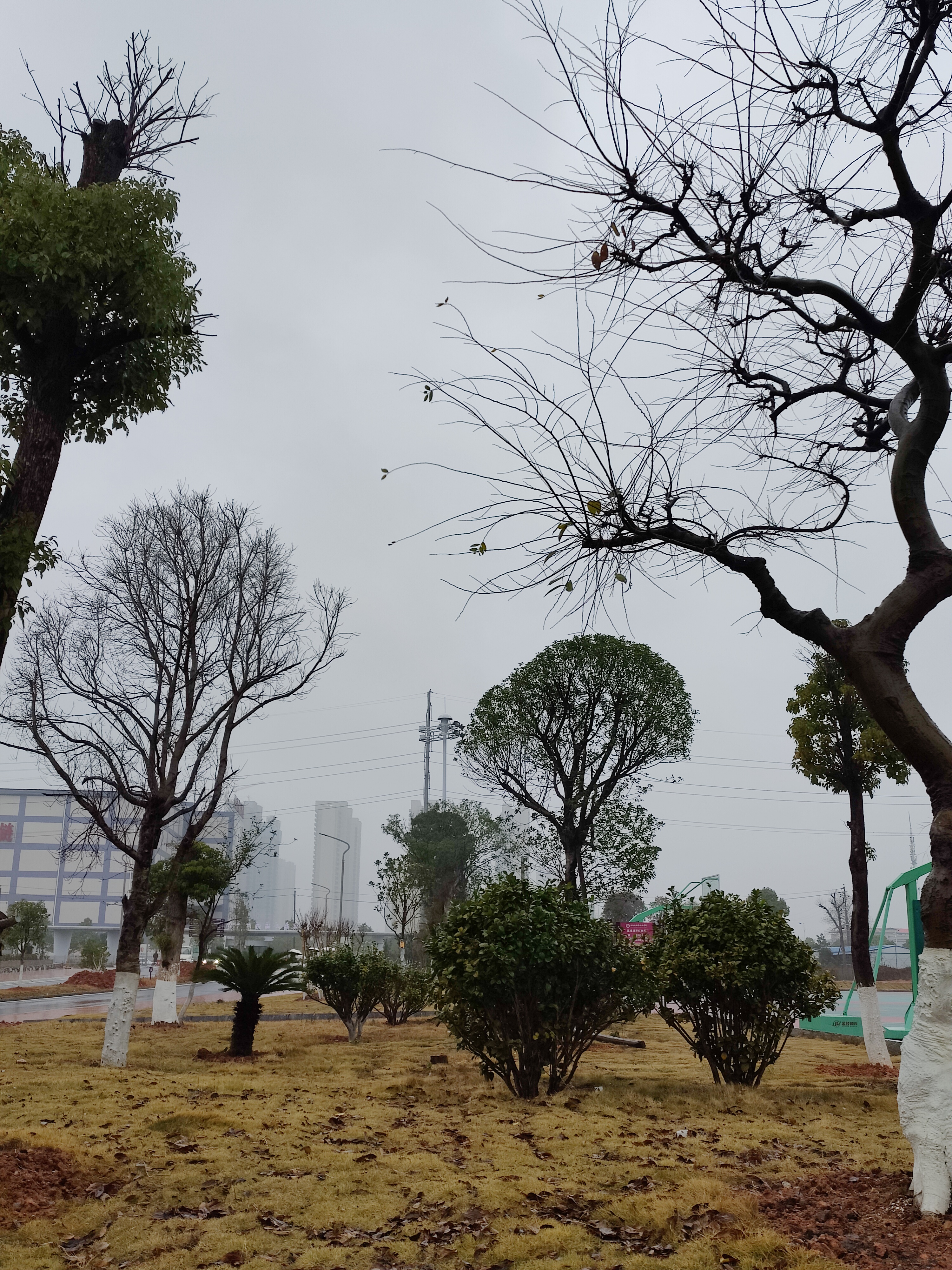 湖南商国语职业学院-植物园