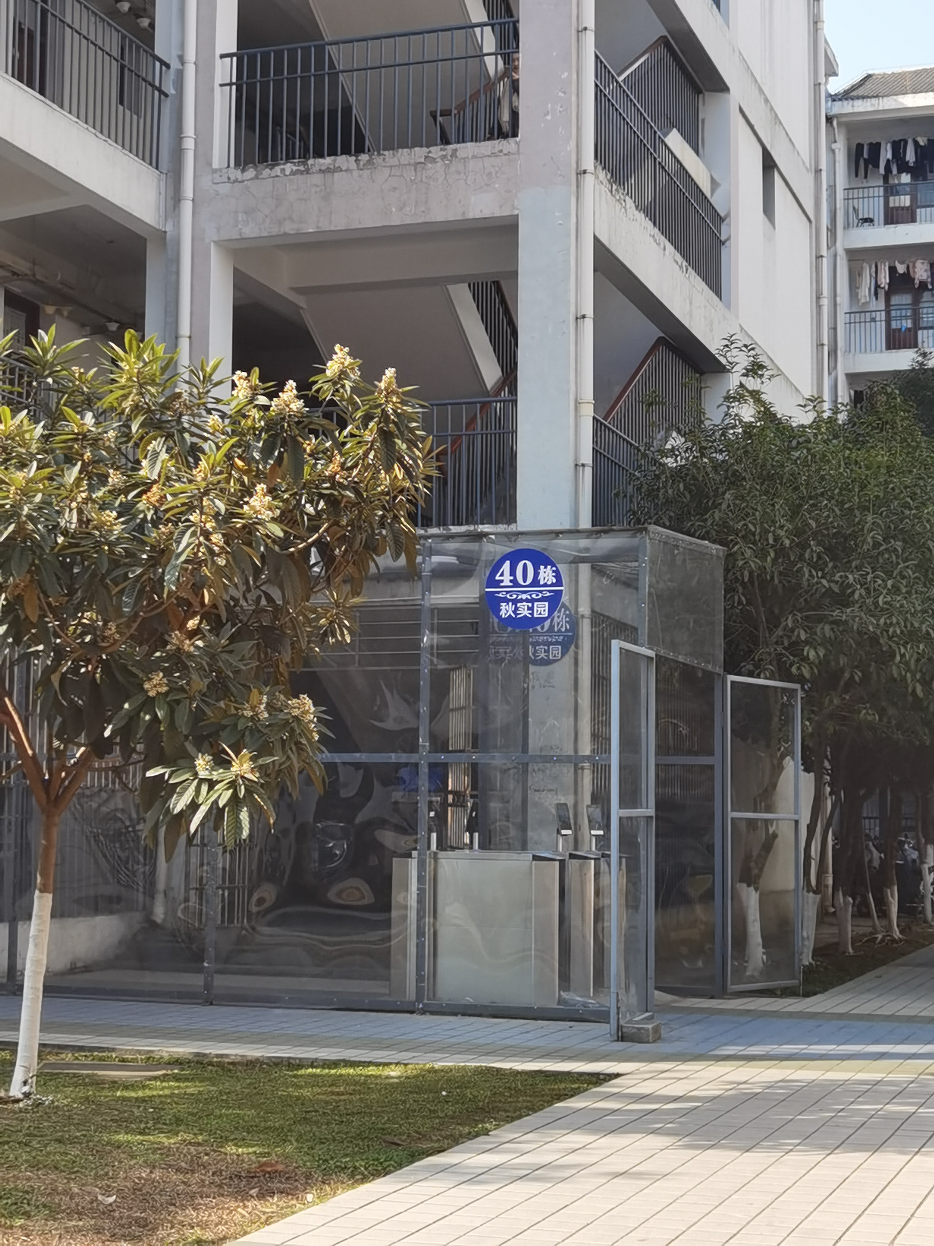 安徽师范大学花津校区秋实园40栋