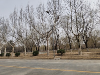 聊路大润学植物园