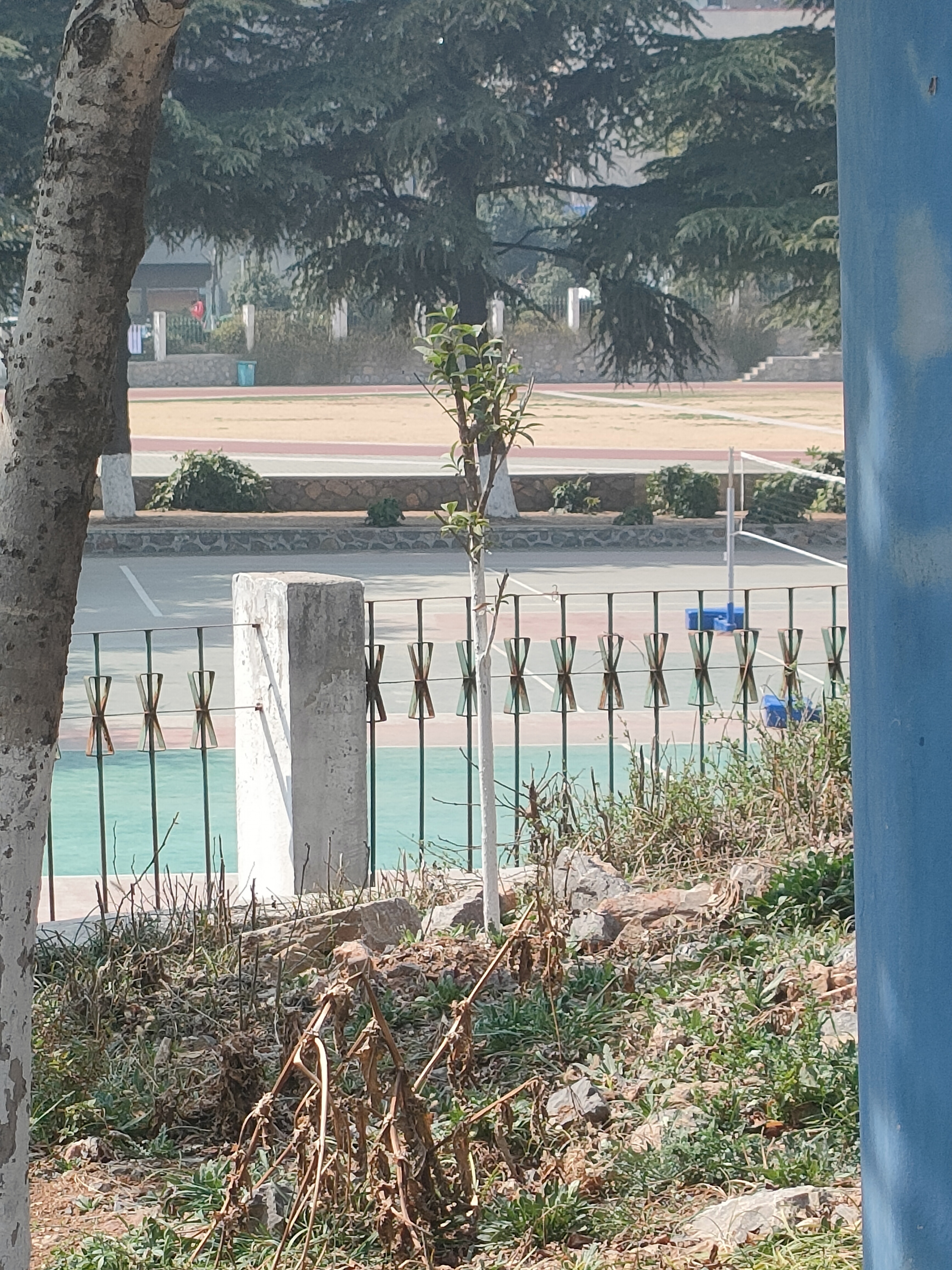 淮北师范大学-排球场