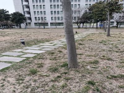 阜阳师大学学(西湖校区)-小公园