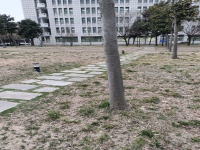 阜阳师范大学(西湖校区)-小公园